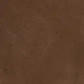 PN001-01-P