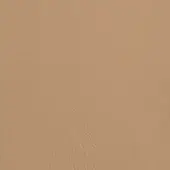 PSSG04-CAMEL-6021-P