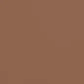 PSSG09-CHOCOLATE-6011-P