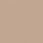 FENICE-1-26-P
