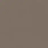 FENICE-9-26-P