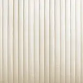 VR001-white-ros-101-C