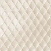 VR001-white-ros-101-R