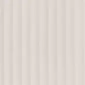 FENICE-11-26-C