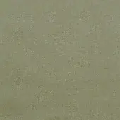 Atmosphera Luxury acrylic fabrics CC060 HER 18011 LEAF