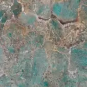 Santos