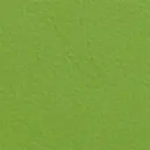 Ivano Antonello Italia Ecoleather Green SI 17