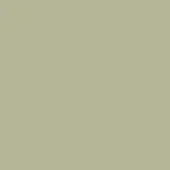 SAV - Salvia di Sardegna (sage green)