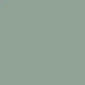 Menta - NCS S 3000-G20Y