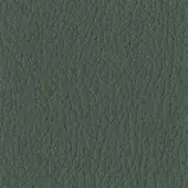 Tonin Casa Eco-Leather S_42 Verde Scuro - Dark Green