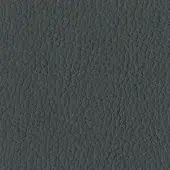 Tonin Casa Eco-Leather S_64 Antracite - Anthracite