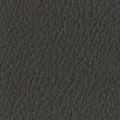 Tonin Casa Grain Leather PF_70 Testa di Moro - Dark Brown