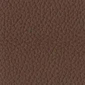 Tonin Casa Leather P_13 Nocciola - Hazel