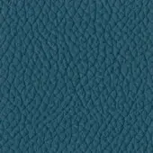 Tonin Casa Leather P_34 Ottanio - Oil Blue