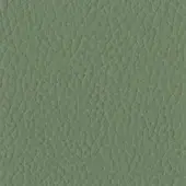 Tonin Casa Leather P_35 Salvia - Sage