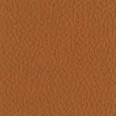 Tonin Casa Leather P_37 Terra di Siena
