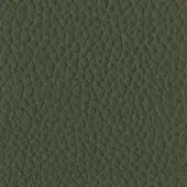 Tonin Casa Leather P_42 Verde Scuro - Dark Green