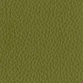 Tonin Casa Leather P_46 Verde Pino - Pine Green