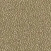Tonin Casa Leather P_61 Champagne - Champagne