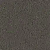 Tonin Casa Leather P_73 Grigio - Gray