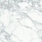 Tonin Casa Marble M_101 Bianco Carrara - Carrara White