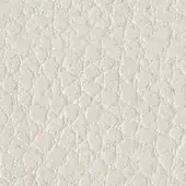 Tonin Casa Nabuk Leather PN_01 Bianco - White