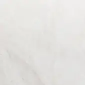 Tyvek