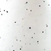 DAL - Dalmata