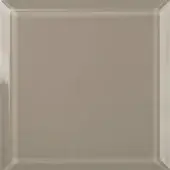 E2 - Bronzed Glass
