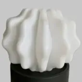 Neutral White