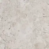 Fossil