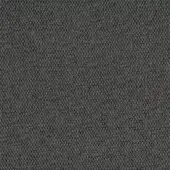 5545-Antracite