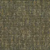 5524-Olive