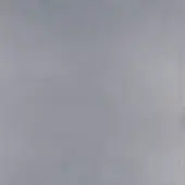 9293-Nebbia