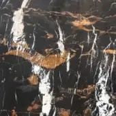 Black & Gold