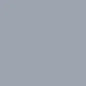 Gray RAL 7040