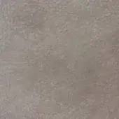 Camoscio - 31 Beige