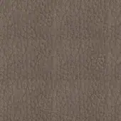 Utah - 105 Taupe
