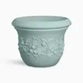 Uva Spina Planter
