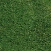 Synthetic Grass