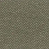 5505-Sage Green
