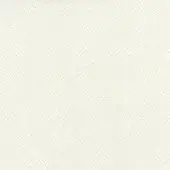 5506-Bone