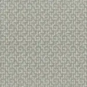 5477-Gris