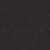 5300