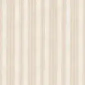 CR4-C-022