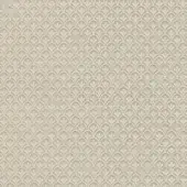 CR4-C-024