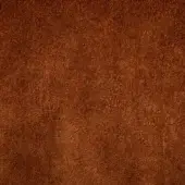 CR1-M-015