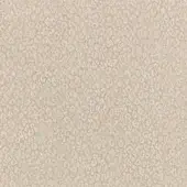 CR3-M-050