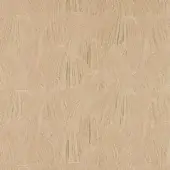 CR4-C-023