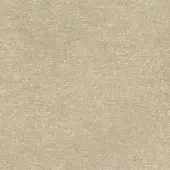 CR4-C-033